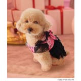 うさ耳パーカーラブリーフリフリレースギャル犬服 韓国 夢展望 | 夢展望 | 詳細画像6