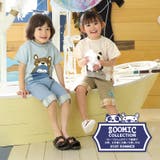 キッズ Tシャツ 半袖 | zooland | 詳細画像20 