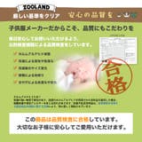キッズ ボトムス ハーフパンツ | zooland | 詳細画像10 