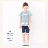 キッズ ベビー Tシャツ | zooland | 詳細画像5