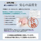 キッズ Tシャツ 半袖 | zooland | 詳細画像6 