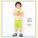 キッズ ハーフパンツ レトロポップ | zooland | 詳細画像7 