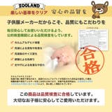 7分丈パンツ キッズ ベビー | zooland | 詳細画像10 