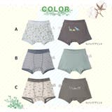 キッズ ベビー 下着 | zooland | 詳細画像16 