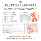 子供服 ボトムス 花柄 | zooland | 詳細画像12 