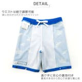 子供水着 スイムパンツ 男の子 | zooland | 詳細画像3 