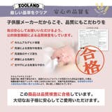 子供服 ウズランド フラワー | zooland | 詳細画像12 