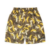 M:モカ | キッズ 水着 男の子 | zooland