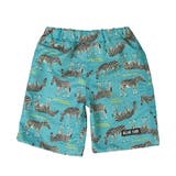 O:グリーン | キッズ 水着 男の子 | zooland