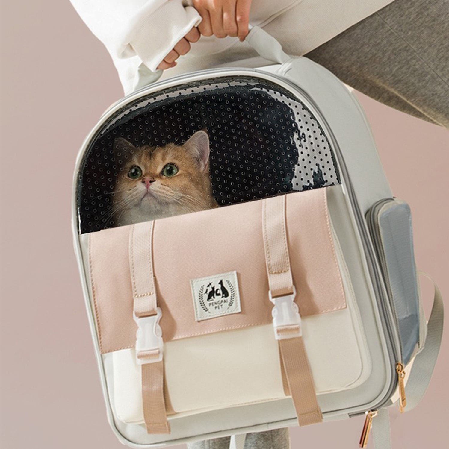 cottenne ベージュ ペット　リュック　キャリーバッグ 　韓国　可愛い cottenne ベージュ ペットリュックキャリーバッグ 韓国可愛い