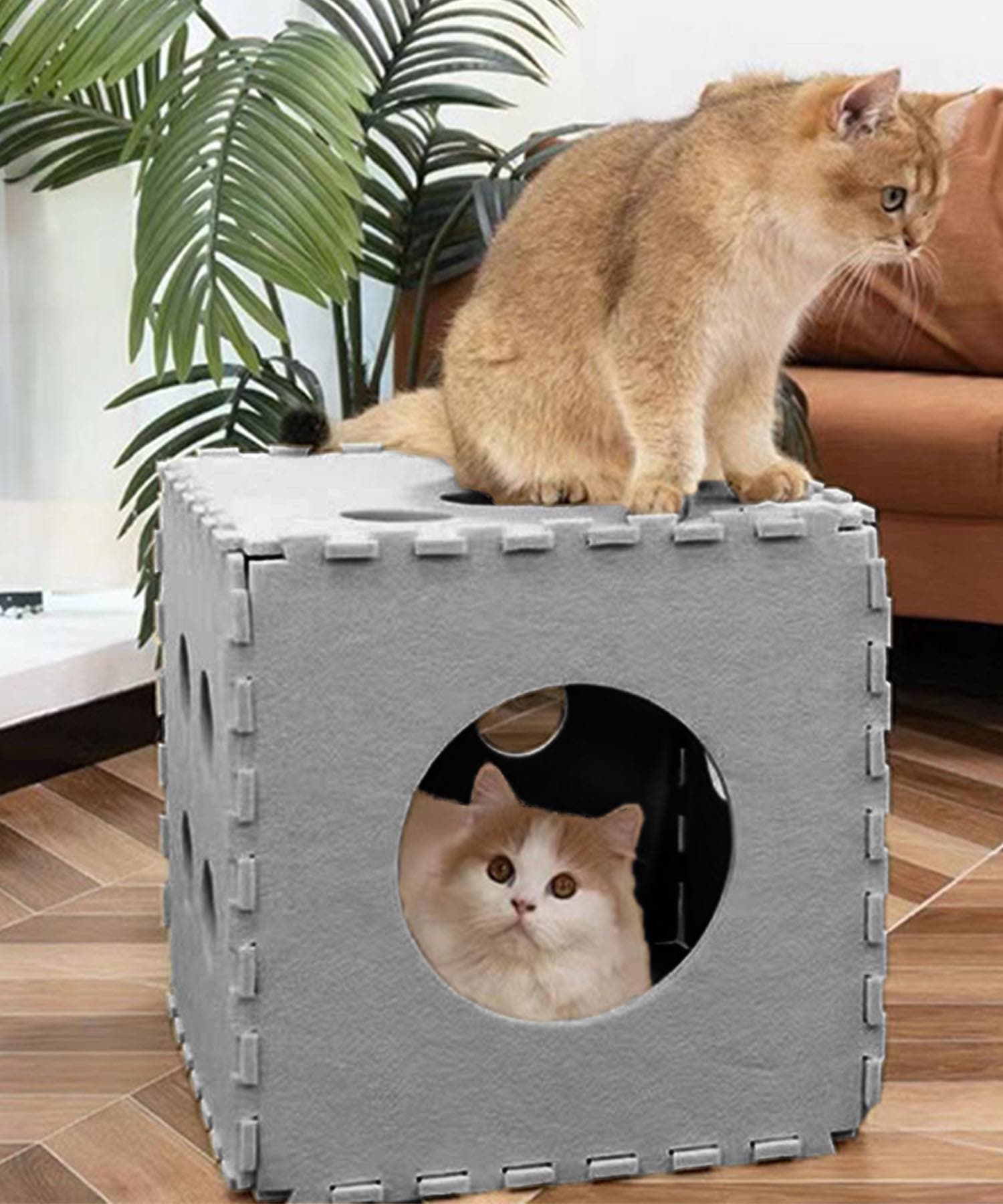 サイコロ型 ペットフェルトボックス 猫 ネコ[品番：XT000013853