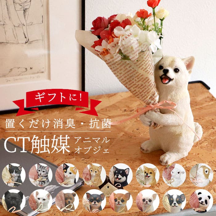 CT触媒 ミニョンブーケ[品番：BCYW0010038]｜BACKYARD FAMILY（バック