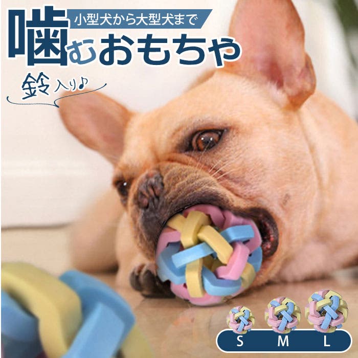 pet60491.jpg