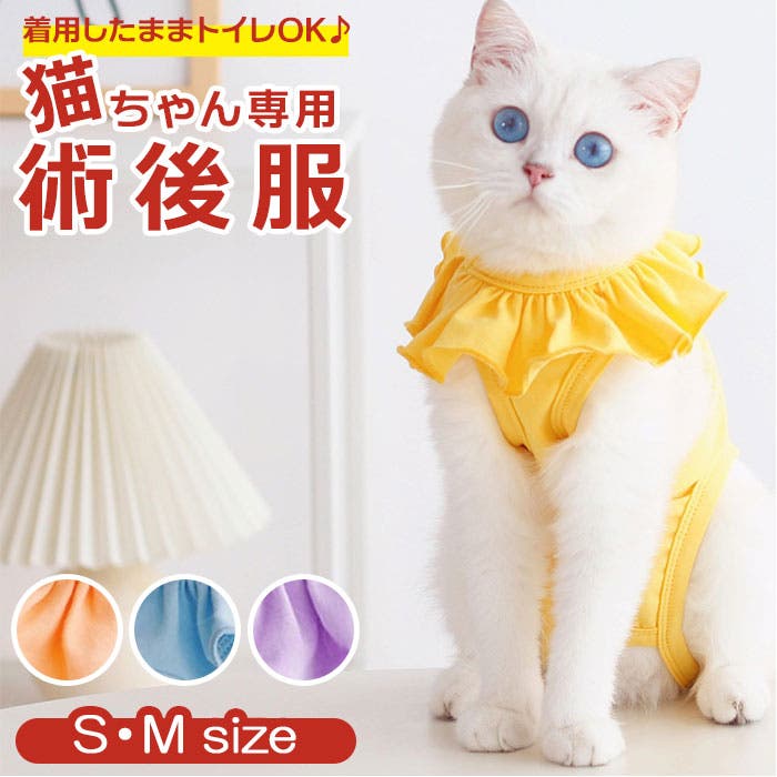 猫服10点セット kcat12.jpg