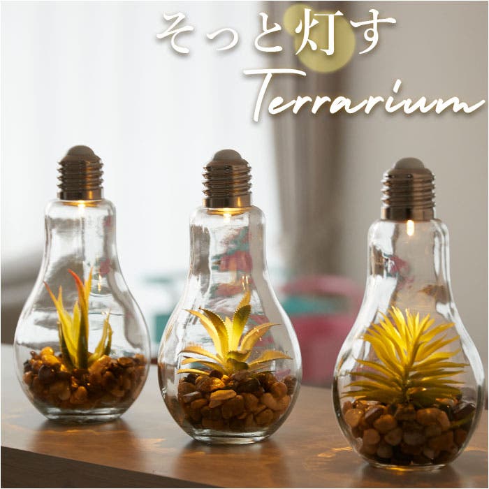 enterrarium.jpg