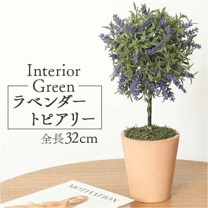 ラベンダートピアリー[品番：BCYW0029088]｜BACKYARD FAMILY（バック