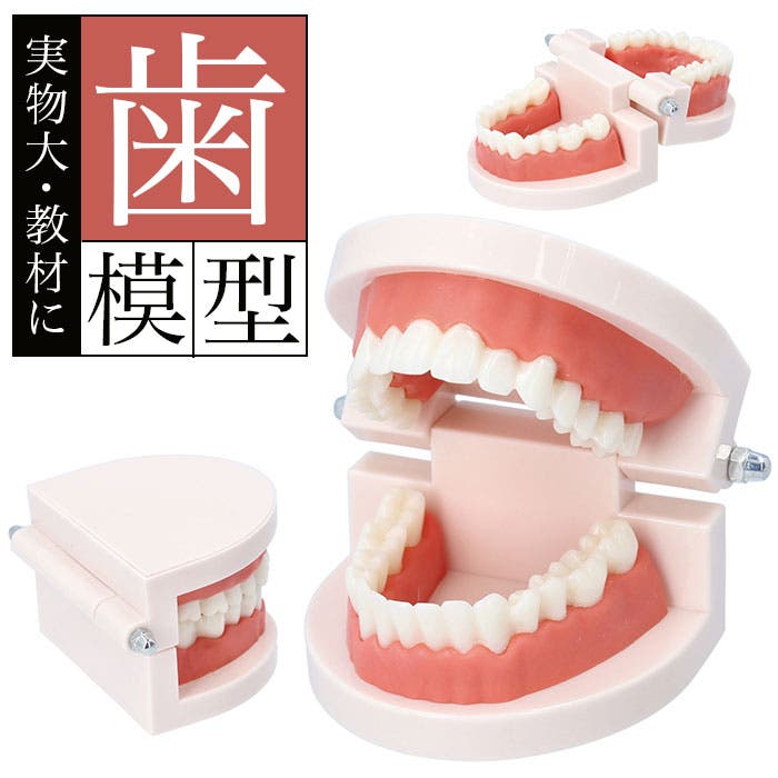 誠実 pmyha003.jpg アクセサリー