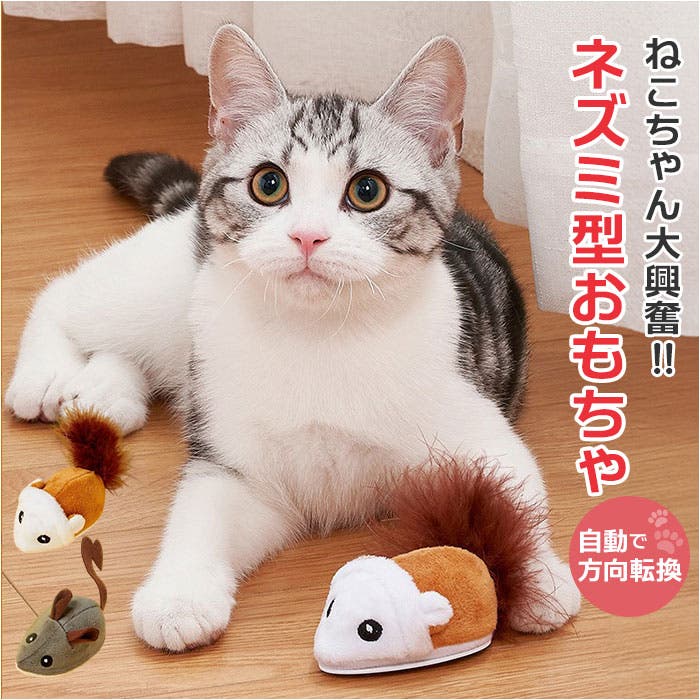 ネズミ ねずみ 猫のおもちゃ 電動[品番：BCYW0038940]｜BACKYARD