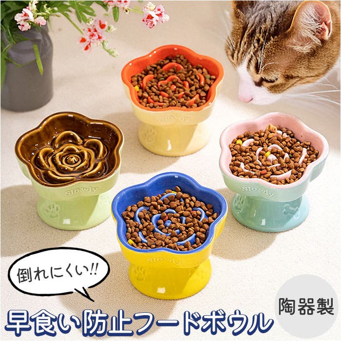 早食い防止 フードボウル ペット[品番：BCYW0038577]｜BACKYARD FAMILY