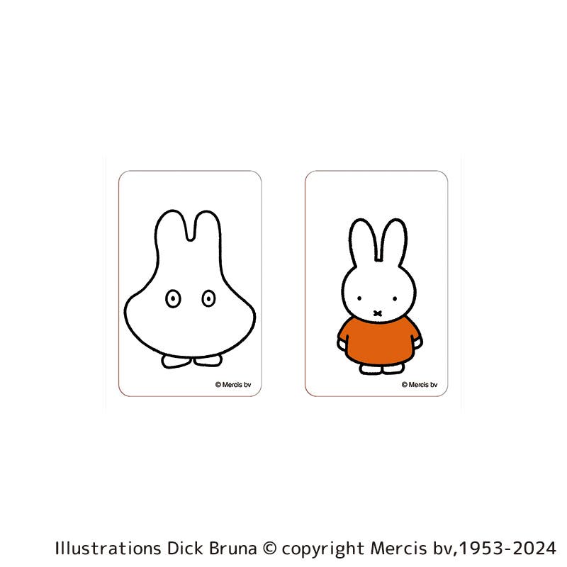 Japan Miffy Pass Case Card Holder & Coin Case - Miffy