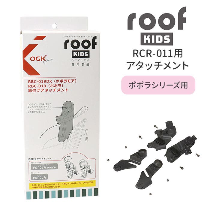 roofkidsp.jpg