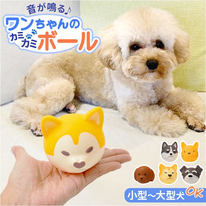 犬用おもちゃ 鳴るボール[品番：BCYW0038934]｜BACKYARD FAMILY