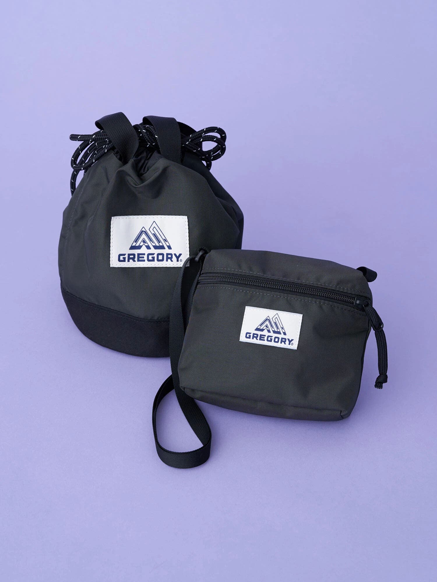 別注 GREGORY/チンチバッグM+ミニショルダーC[品番：EMEW0037209 