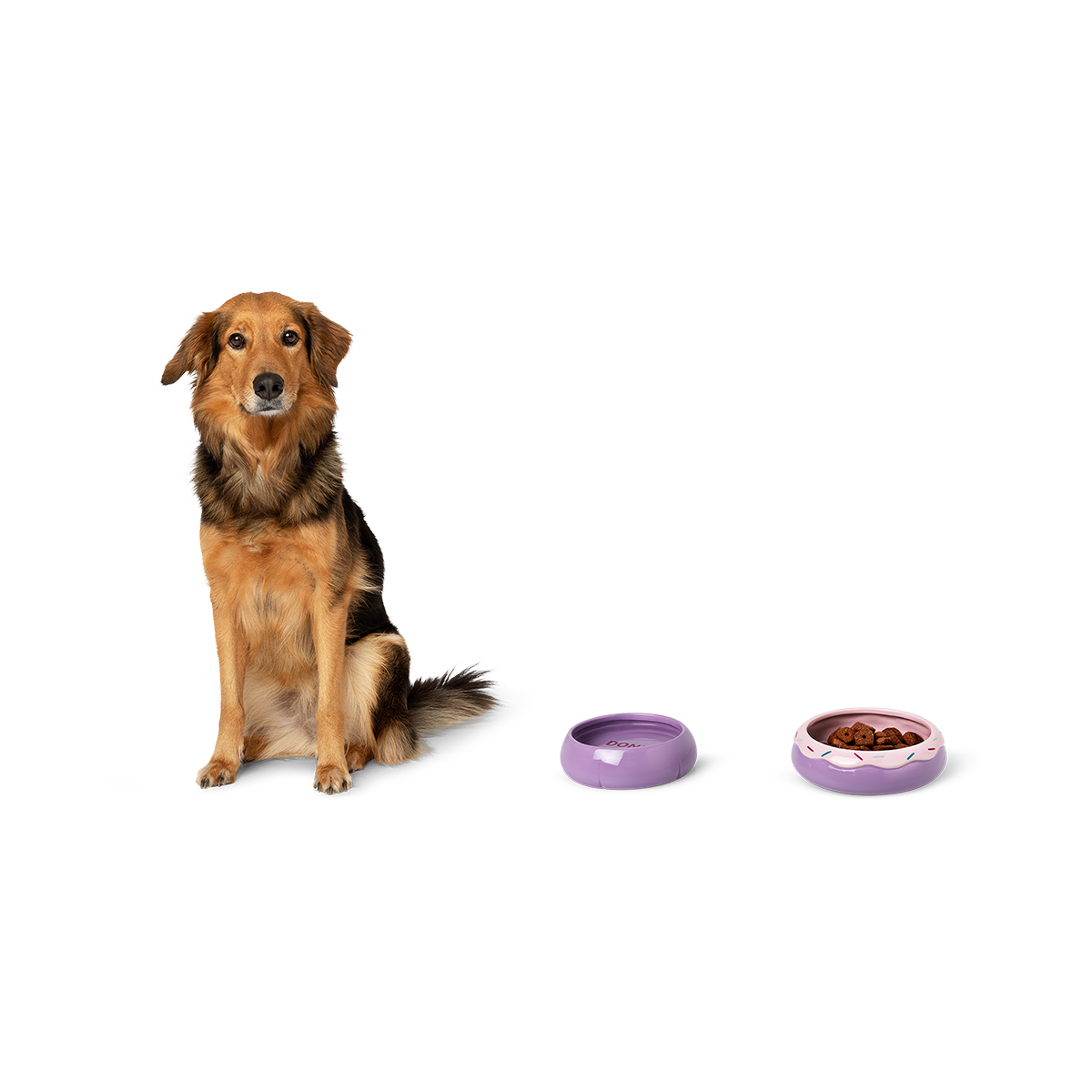 ペット用フードボウルセット[品番：ZBRH0014113]｜Flying Tiger