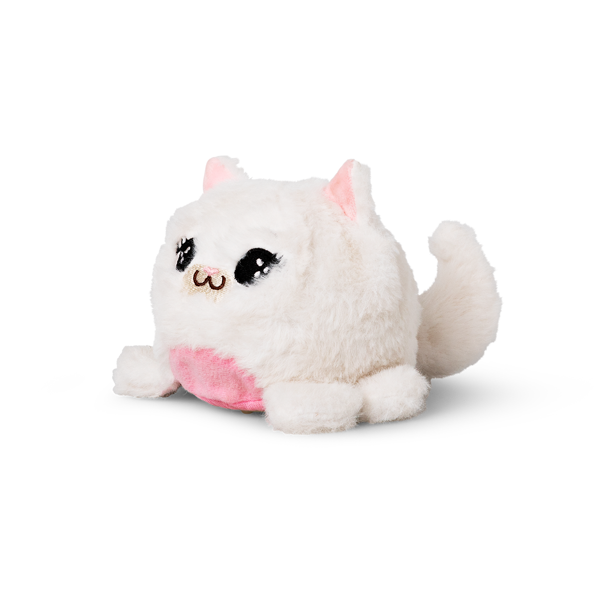 外で見ると無数の光の粒が！売り上げに貢献してる！！猫目タイガールチルたん！ 外で見ると無数の光の粒が！売り上げに貢献してる！！猫