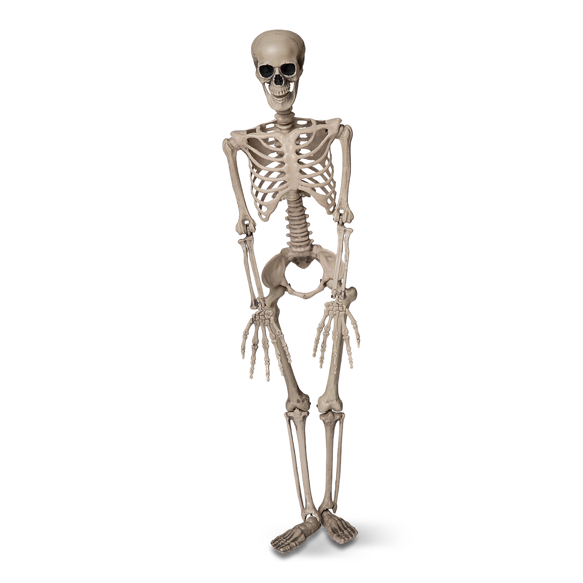 フライングタイガー】“ハロウィン”に真正面から挑みます