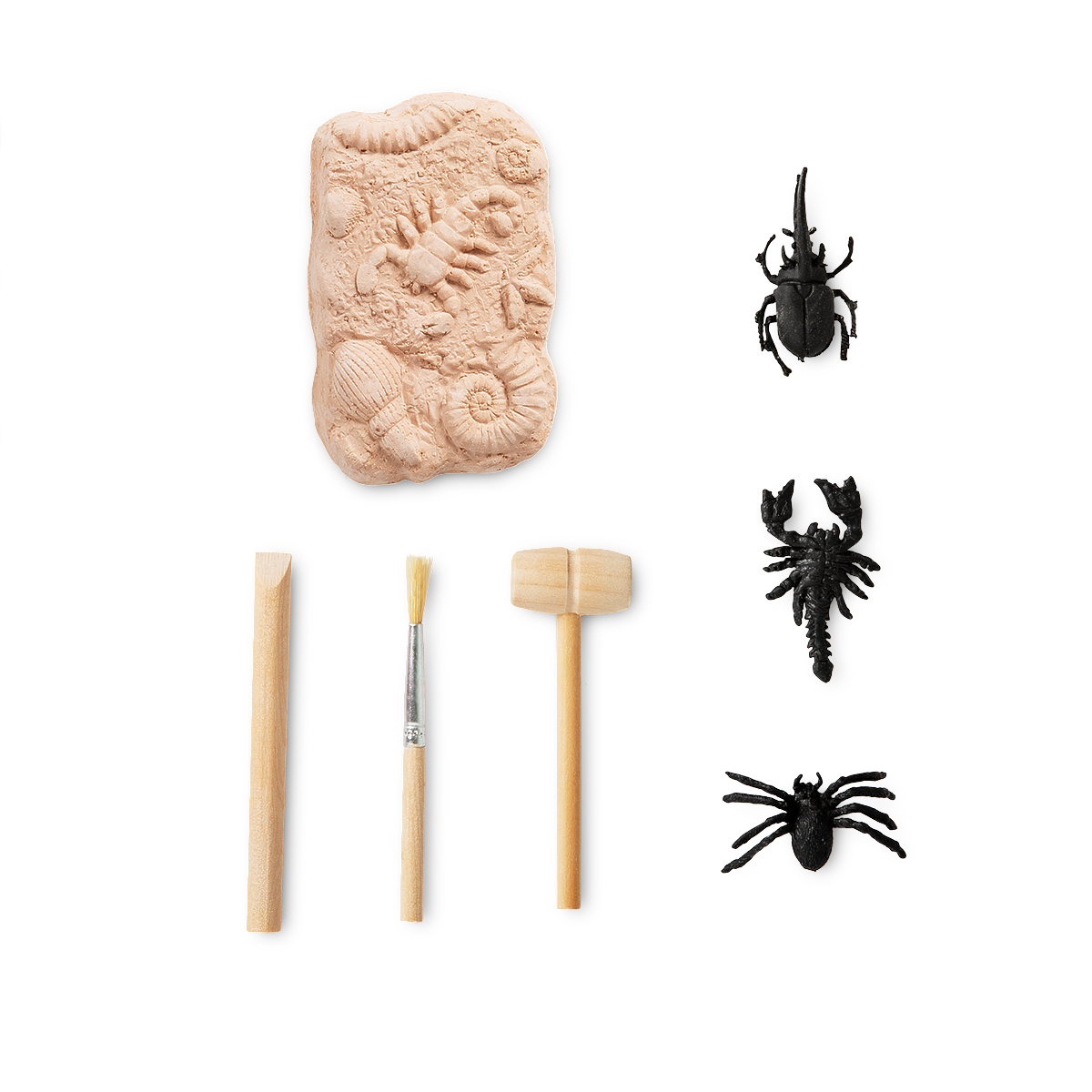 特大　籐のキリン Amazon.co.jp: ポチっと発明ピカちんキット バトルピカちん
