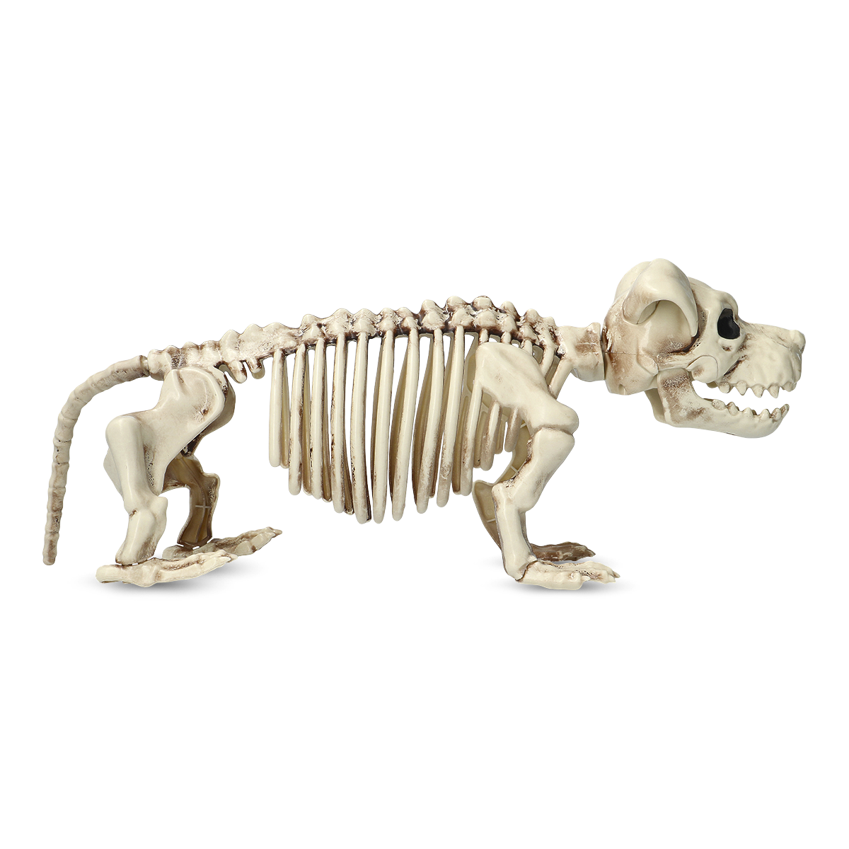 スケルトンドッグ[品番：ZBRH0009733]｜Flying Tiger Copenhagen