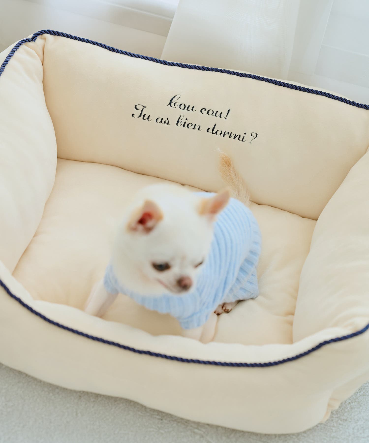 DOG】もちもちベッド[品番：RPCW0051291]｜ROPE' PICNIC（ロペ