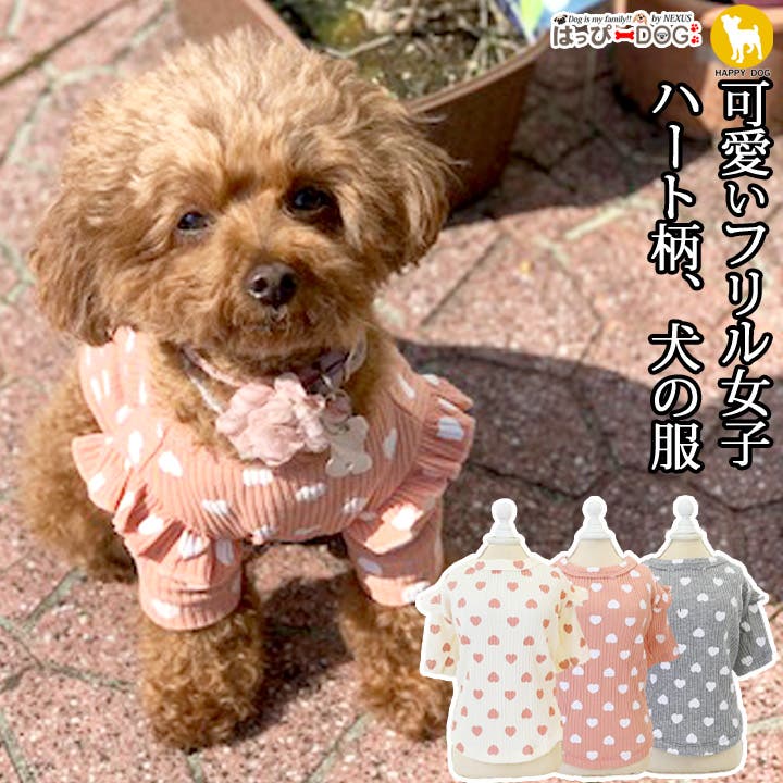 sanrio Sanrio サンリオ秋冬モデルポチャッコフレンズ 犬 服 犬