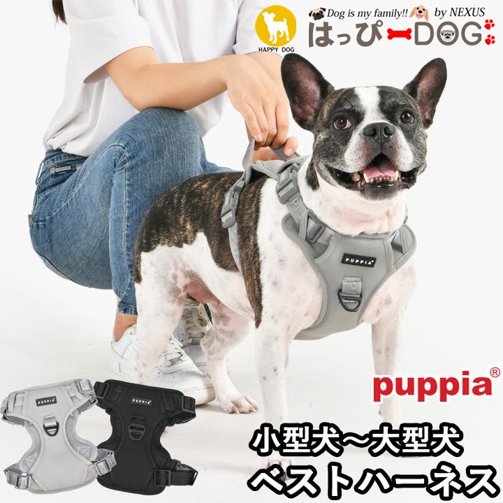 いぬ CITYDOG 【Skinny】リード 犬 本革 牛革 犬用 中型犬 小型犬