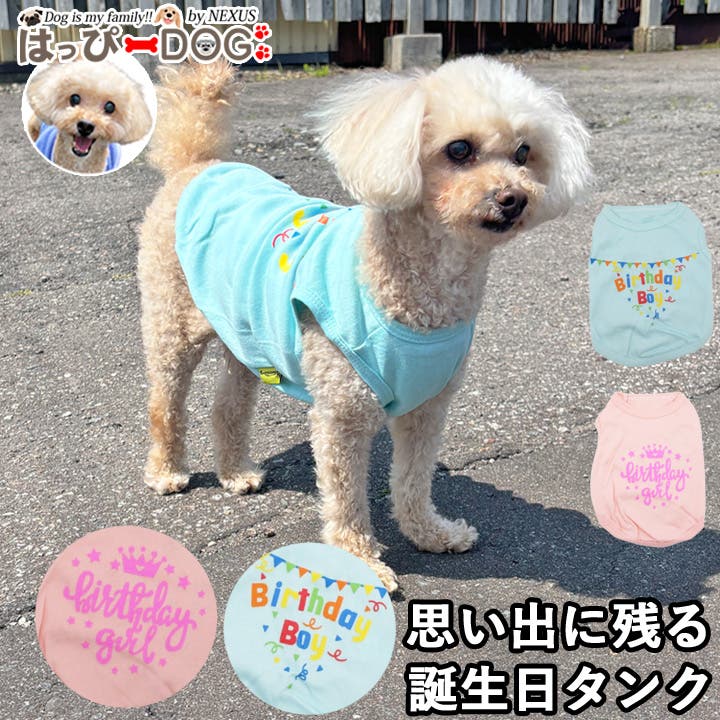 犬服　mai3932 mb46_2025_29.jpg