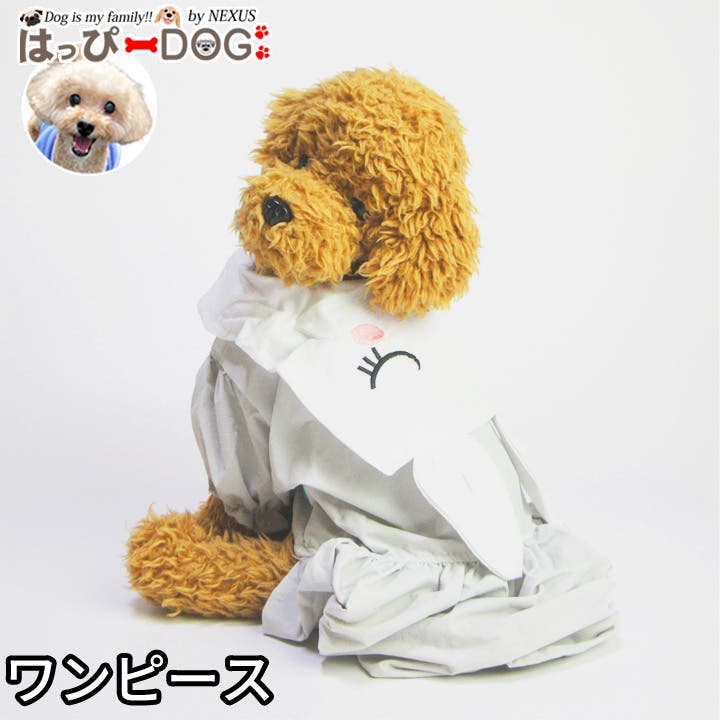 犬 服 犬服[品番：NX000007143]｜K-city（ケイシティ）の
