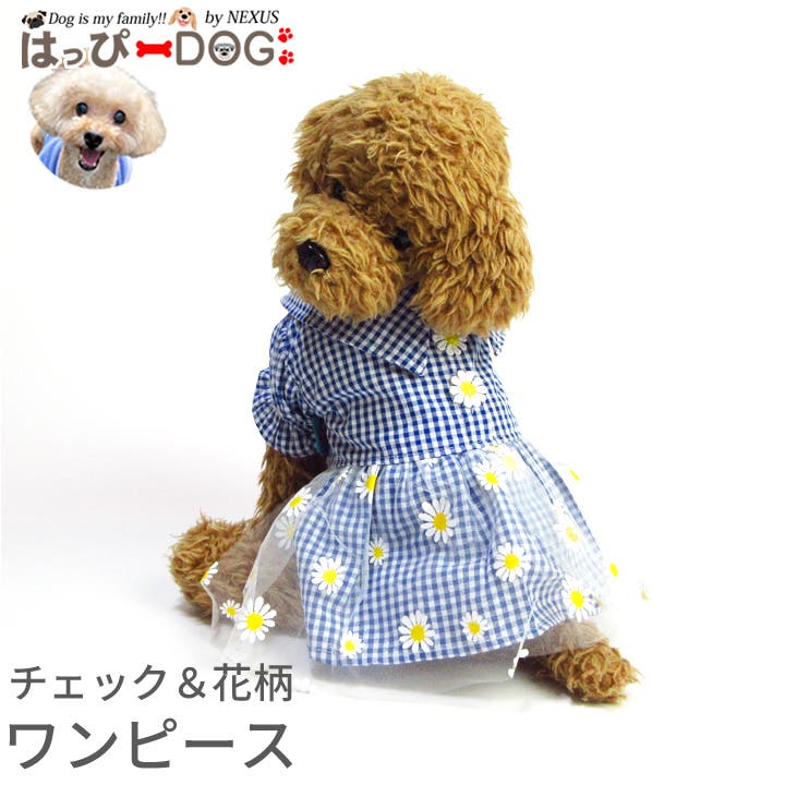 犬 服 犬服[品番：NX000007144]｜K-city（ケイシティ）の