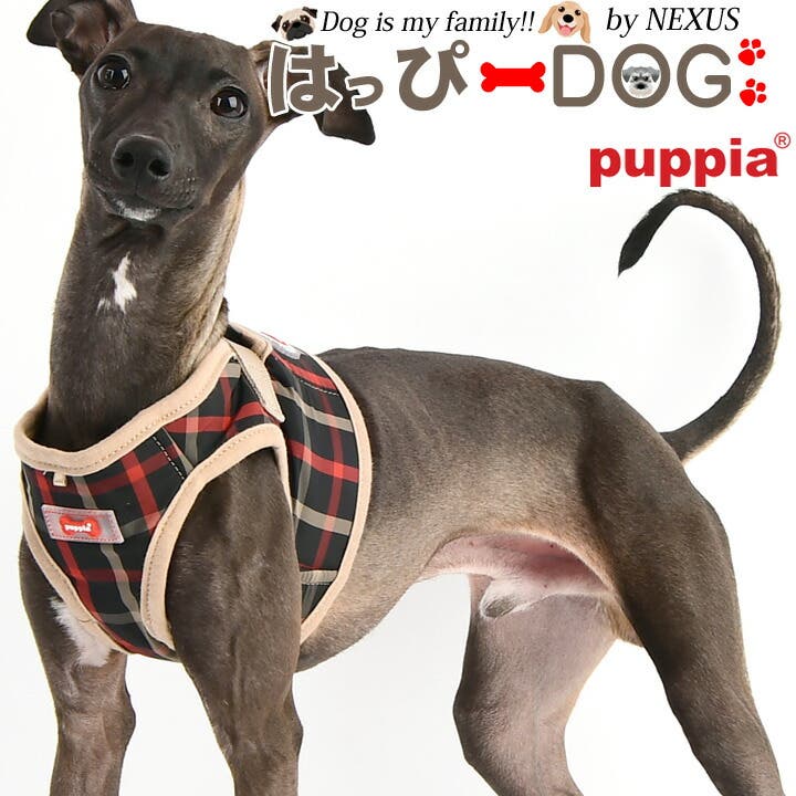 YIGGY | イタグレ イタリアングレーハウンド専門の犬服