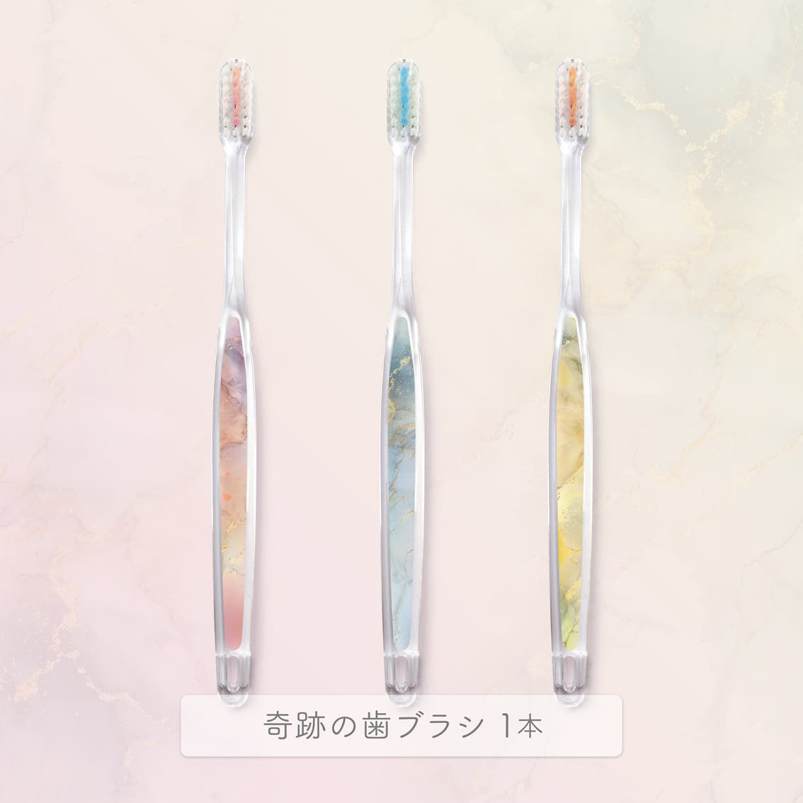 ガラス細工 リーマー6色と歯ブラシステージ 公式【ショップリスト限定】奇跡の歯ブラシ マーブル 1本[品番