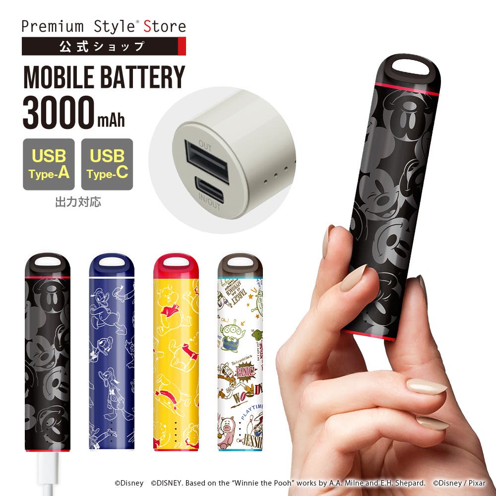 pg-dlbj30a01-04.jpg