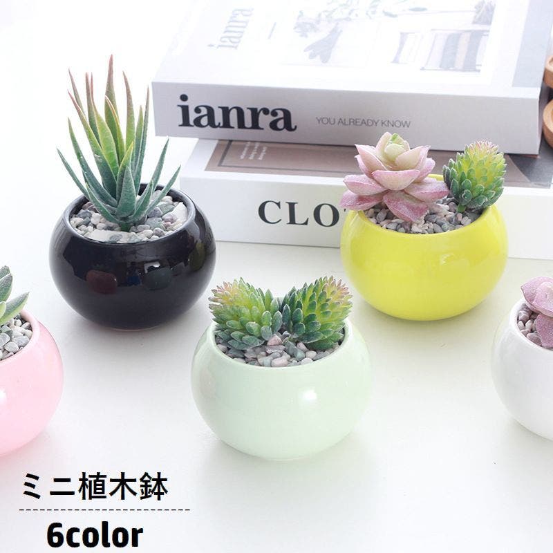 多肉植物寄せ植え】昭和レトロと相性抜群！実家に眠っていた花瓶