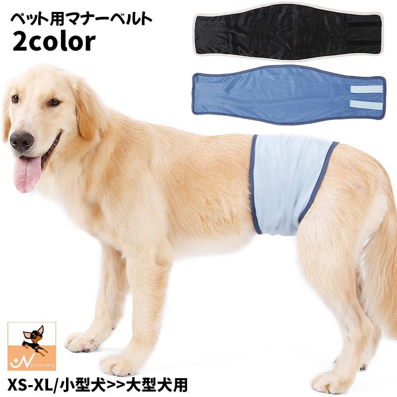 ペット✩犬✩マナーベルトオーダー用 サンプル（確認用