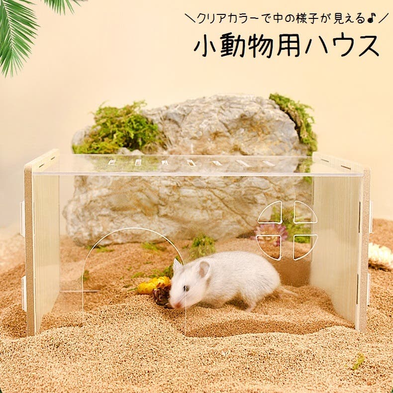 小動物用ハウス ペット用品 おうち[品番：FQ000209481]｜PlusNao