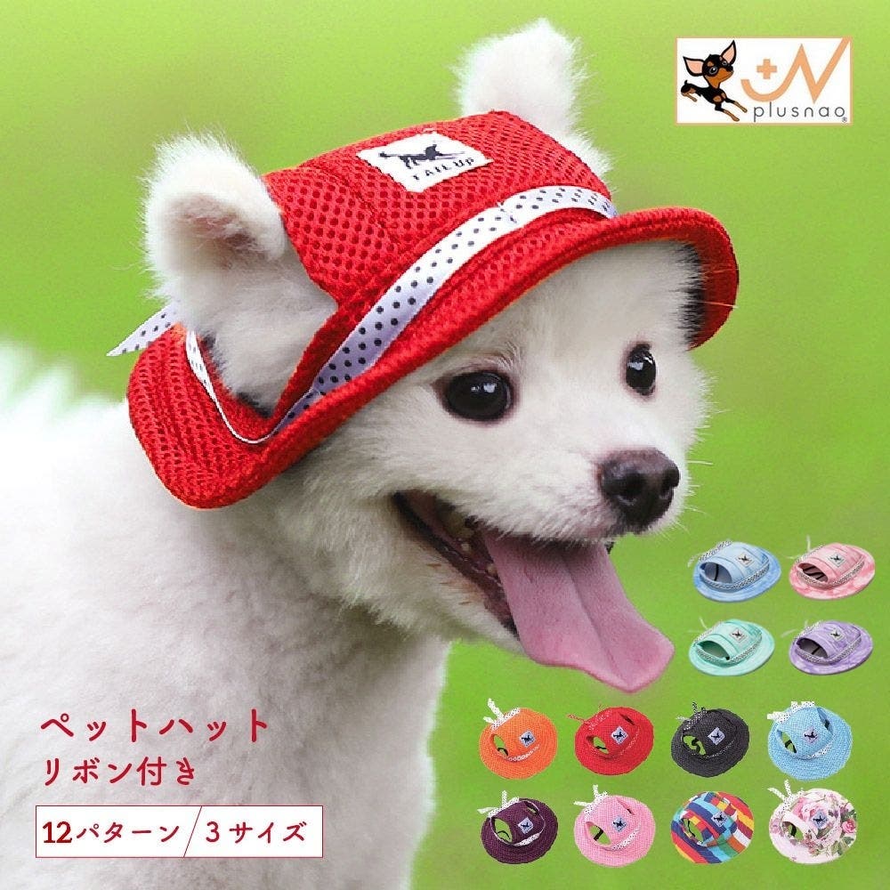 犬の置物 ヘッドフォン・帽子付き 125w02s_01.jpg