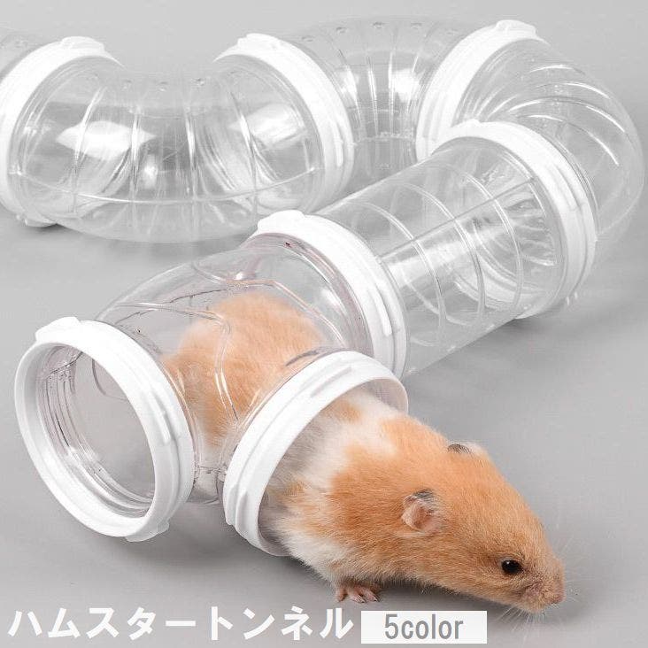 買い物かごいっぱい‼️ハムスター　パイプ 三晃商会 T型パイプ(ハムスターパイプ)ゴールデンハムスター