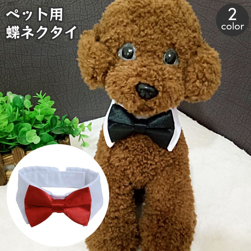 ペット用ネクタイ 蝶ネクタイ ペット用付け襟[品番：FQ000186121