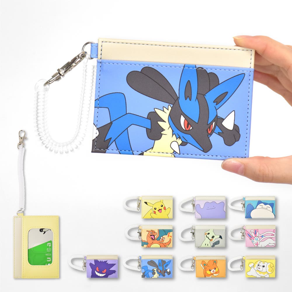 レア ポケモン アニメ初期 当選品 ビデオケース プラバッグ