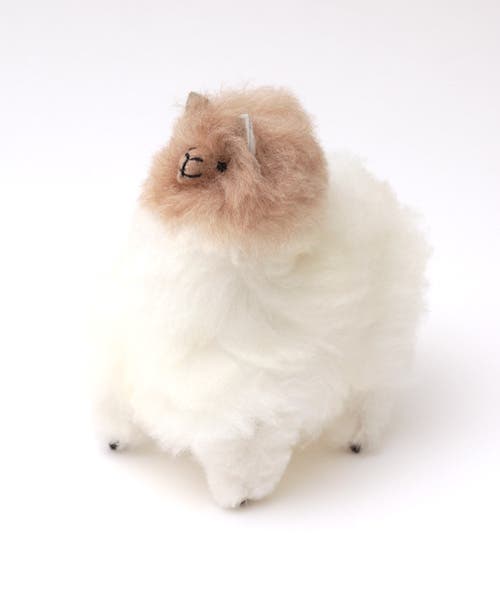 チチカカ ツートンアルパカ 白 zewpc2380 レディース[品番