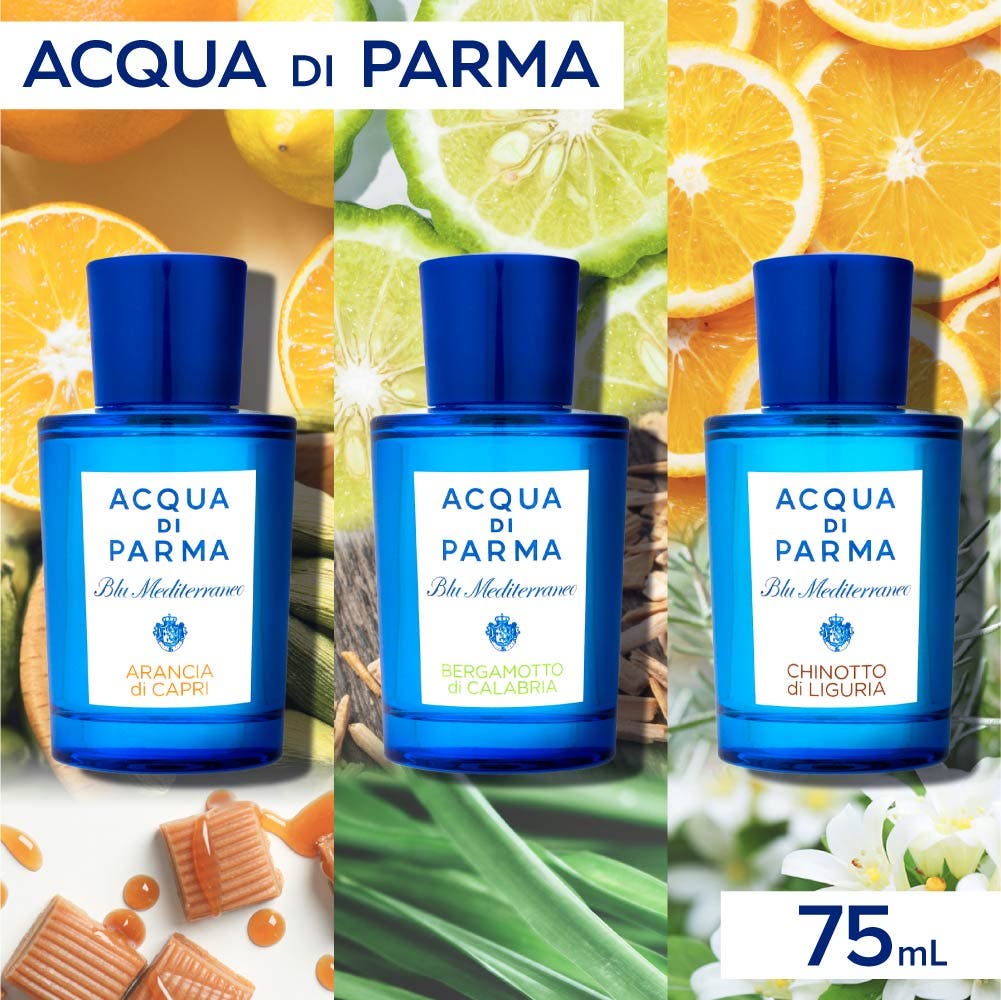アクアディパルマ ACQUA DI[品番：TRDW0000004]｜U-STREAM（ユー